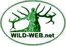 Wild Web!