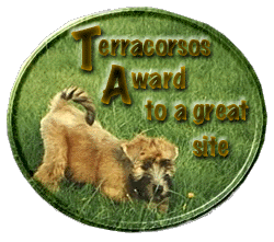 Terracorsos Award